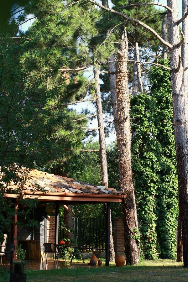 Hotel უცხო-utskho Telavi Exteriör bild