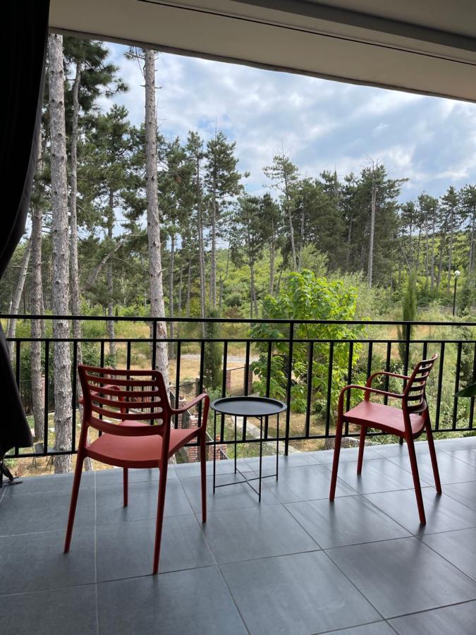 Hotel უცხო-utskho Telavi Exteriör bild
